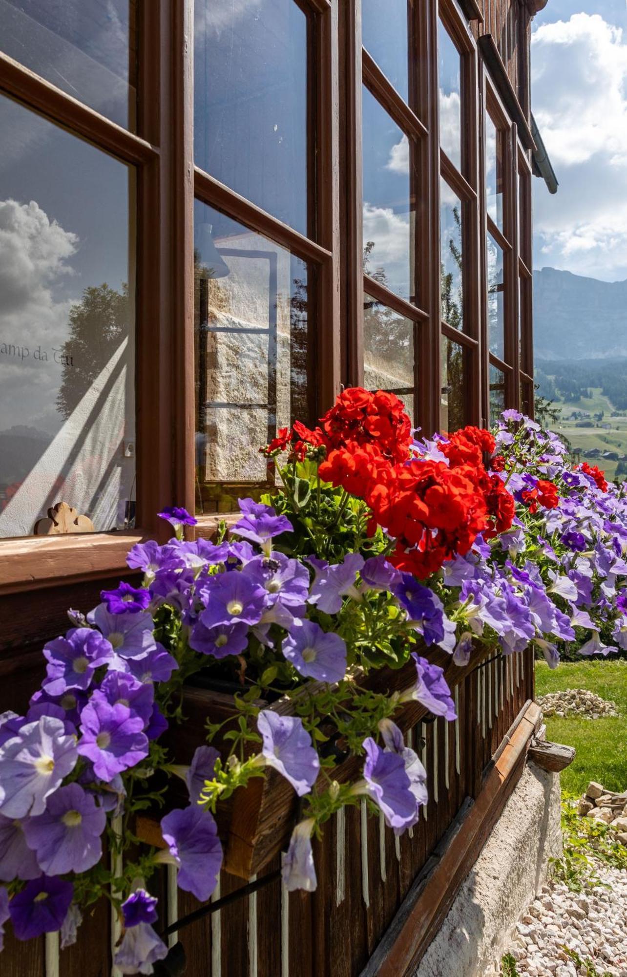 Agriturismo Maso Runch Badia  Buitenkant foto